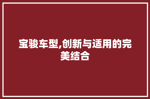 宝骏车型,创新与适用的完美结合