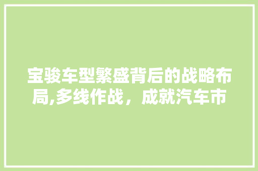 宝骏车型繁盛背后的战略布局,多线作战，成就汽车市场新霸主