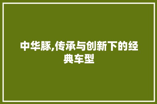 中华豚,传承与创新下的经典车型