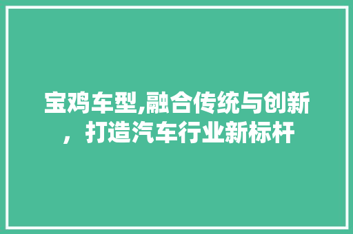 宝鸡车型,融合传统与创新，打造汽车行业新标杆