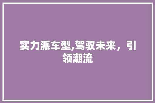 实力派车型,驾驭未来，引领潮流