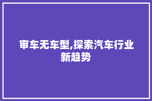 审车无车型,探索汽车行业新趋势