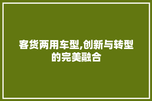 客货两用车型,创新与转型的完美融合