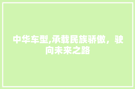 中华车型,承载民族骄傲，驶向未来之路 汽车配件