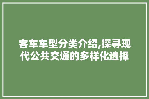 客车车型分类介绍,探寻现代公共交通的多样化选择