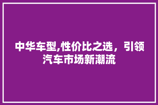 中华车型,性价比之选，引领汽车市场新潮流 车灯配件