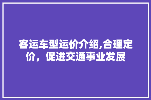 客运车型运价介绍,合理定价，促进交通事业发展