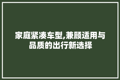 家庭紧凑车型,兼顾适用与品质的出行新选择
