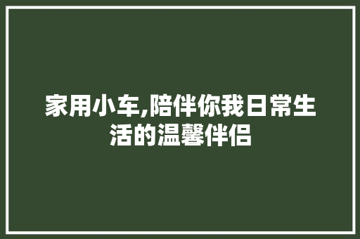 家用小车,陪伴你我日常生活的温馨伴侣