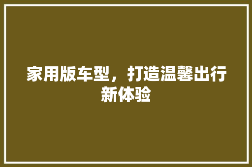 家用版车型，打造温馨出行新体验