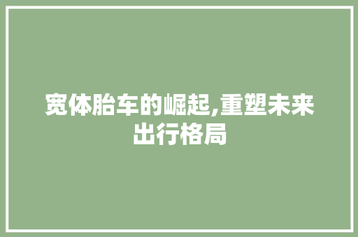 宽体胎车的崛起,重塑未来出行格局
