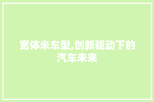 宽体米车型,创新驱动下的汽车未来