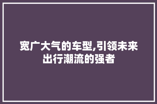 宽广大气的车型,引领未来出行潮流的强者