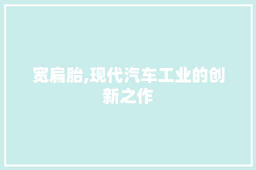 宽扁胎,现代汽车工业的创新之作