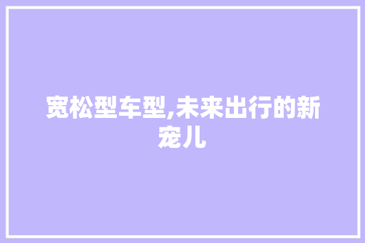 宽松型车型,未来出行的新宠儿