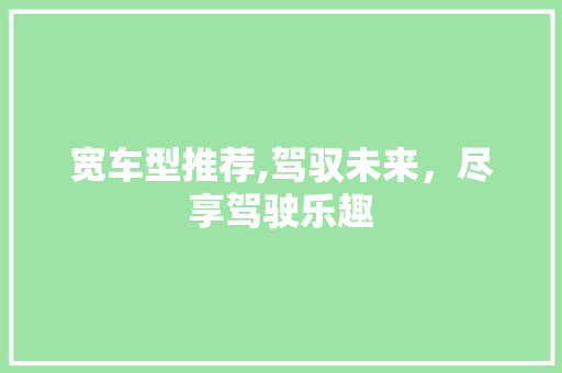 宽车型推荐,驾驭未来，尽享驾驶乐趣