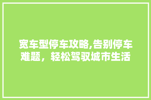 宽车型停车攻略,告别停车难题，轻松驾驭城市生活