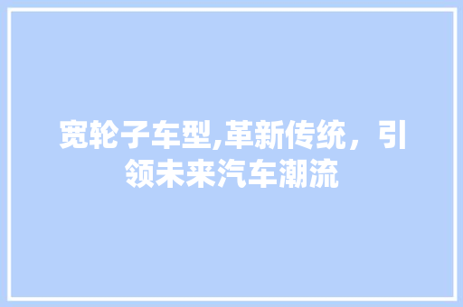 宽轮子车型,革新传统，引领未来汽车潮流