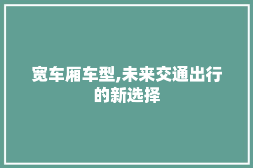 宽车厢车型,未来交通出行的新选择
