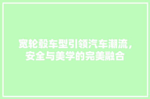 宽轮毂车型引领汽车潮流，安全与美学的完美融合
