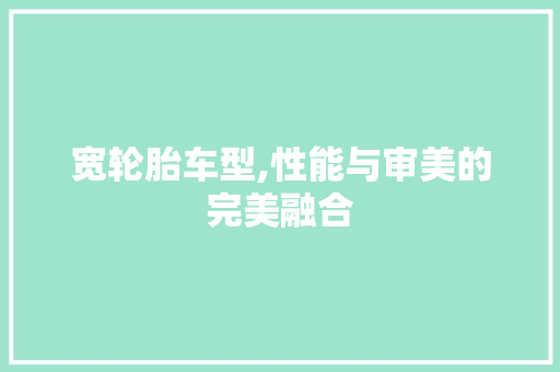 宽轮胎车型,性能与审美的完美融合