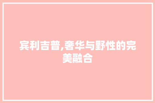 宾利吉普,奢华与野性的完美融合