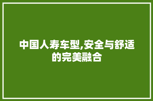中国人寿车型,安全与舒适的完美融合