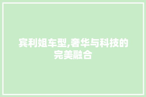宾利姐车型,奢华与科技的完美融合