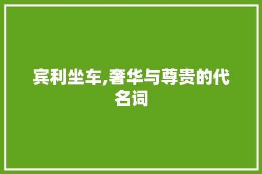 宾利坐车,奢华与尊贵的代名词