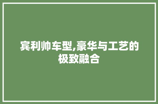 宾利帅车型,豪华与工艺的极致融合