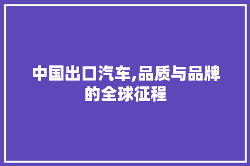 中国出口汽车,品质与品牌的全球征程 汽车配件