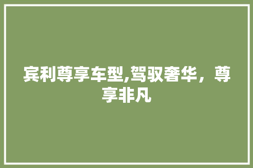 宾利尊享车型,驾驭奢华，尊享非凡