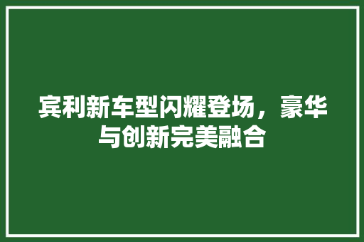 宾利新车型闪耀登场，豪华与创新完美融合
