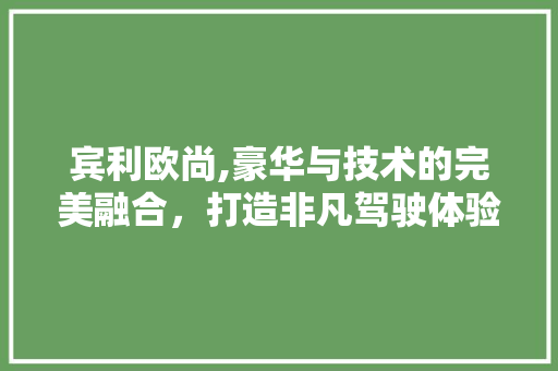 宾利欧尚,豪华与技术的完美融合，打造非凡驾驶体验