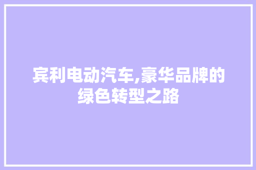 宾利电动汽车,豪华品牌的绿色转型之路