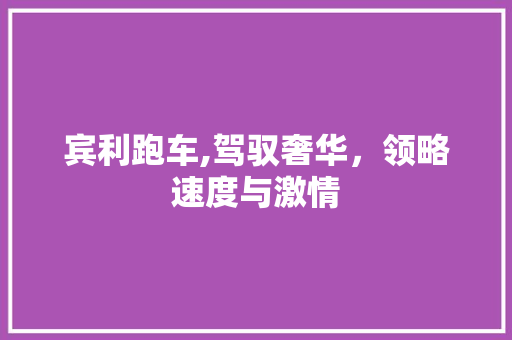 宾利跑车,驾驭奢华，领略速度与激情
