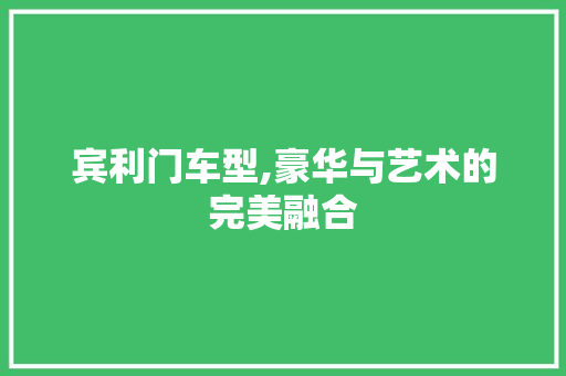 宾利门车型,豪华与艺术的完美融合