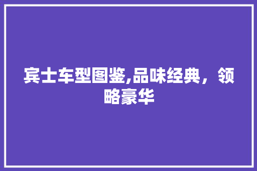宾士车型图鉴,品味经典，领略豪华