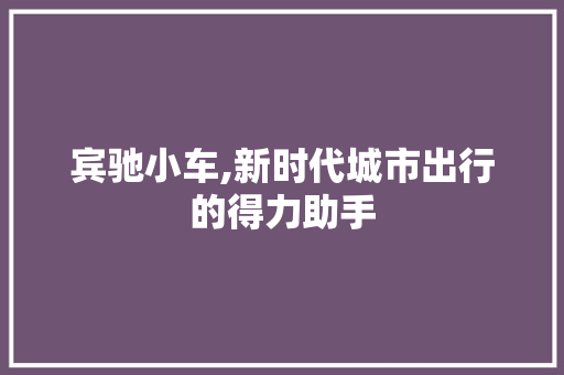 宾驰小车,新时代城市出行的得力助手