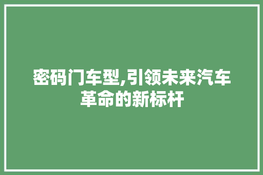 密码门车型,引领未来汽车革命的新标杆