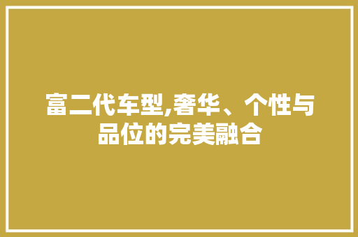 富二代车型,奢华、个性与品位的完美融合