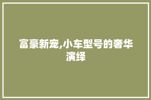 富豪新宠,小车型号的奢华演绎