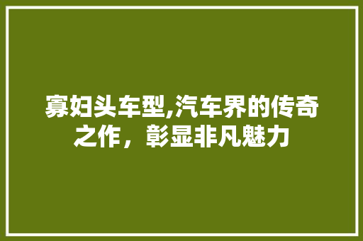 寡妇头车型,汽车界的传奇之作，彰显非凡魅力