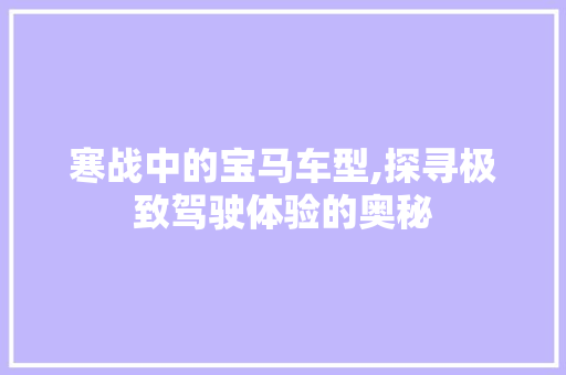 寒战中的宝马车型,探寻极致驾驶体验的奥秘