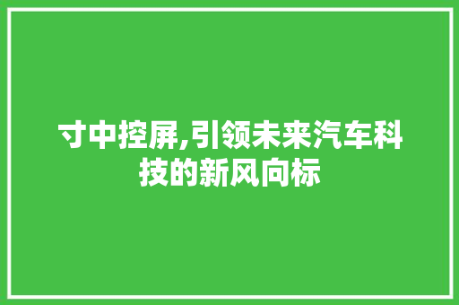 寸中控屏,引领未来汽车科技的新风向标