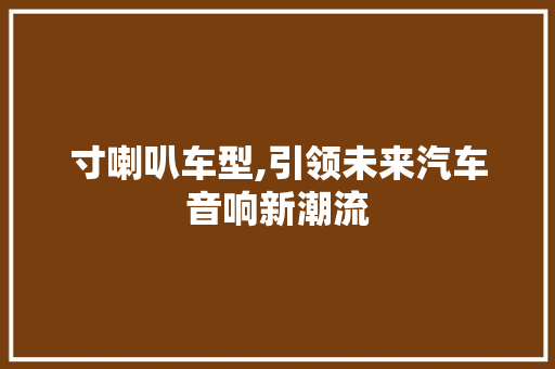寸喇叭车型,引领未来汽车音响新潮流