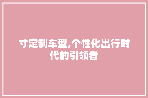 寸定制车型,个性化出行时代的引领者