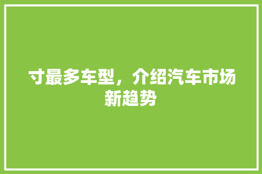 寸最多车型，介绍汽车市场新趋势