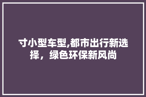 寸小型车型,都市出行新选择，绿色环保新风尚