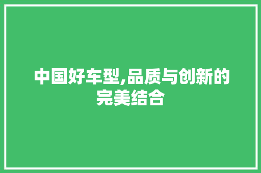 中国好车型,品质与创新的完美结合 发动机配件